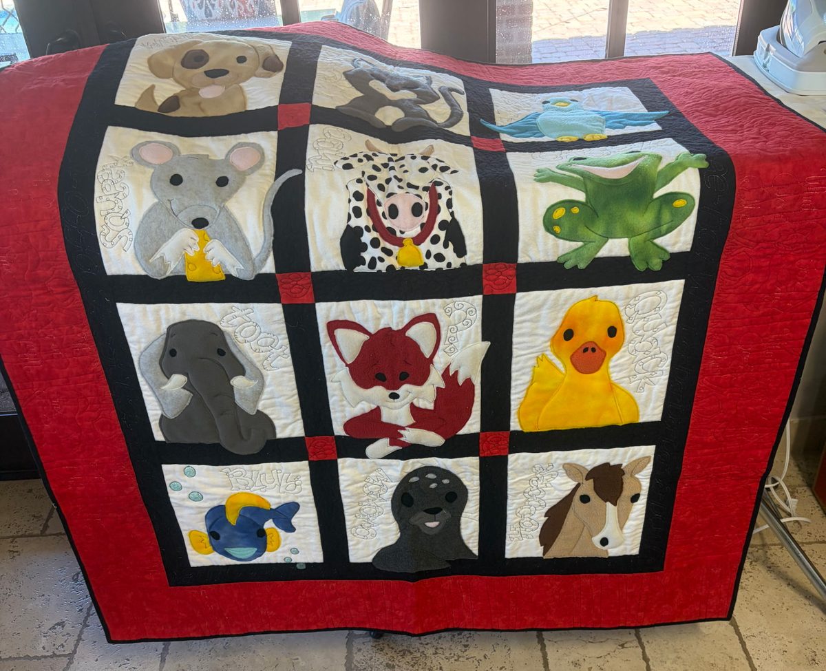 Animal Quilt โ handmade flannel quilt with animal squares