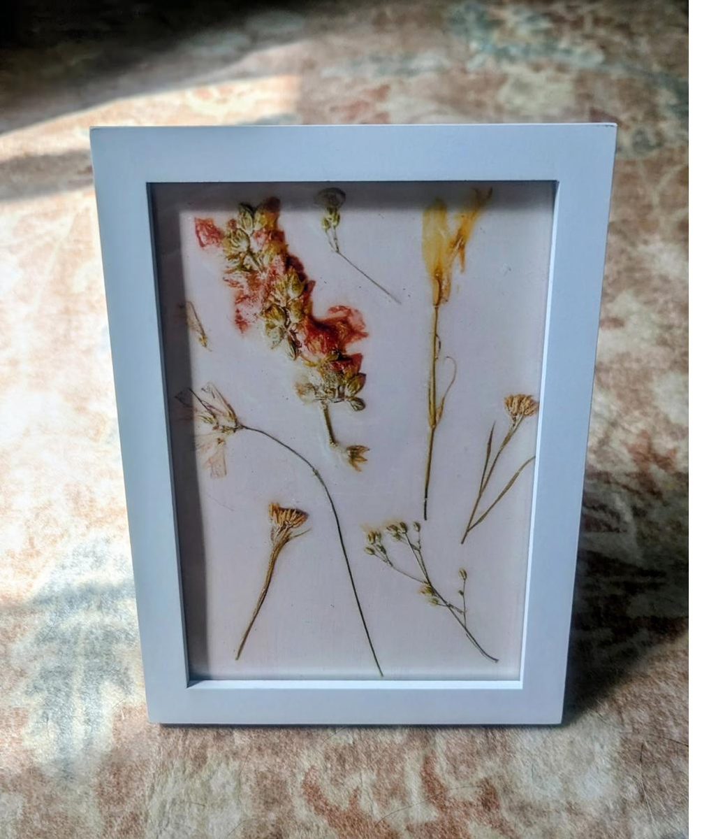 White framed pressed flowers print